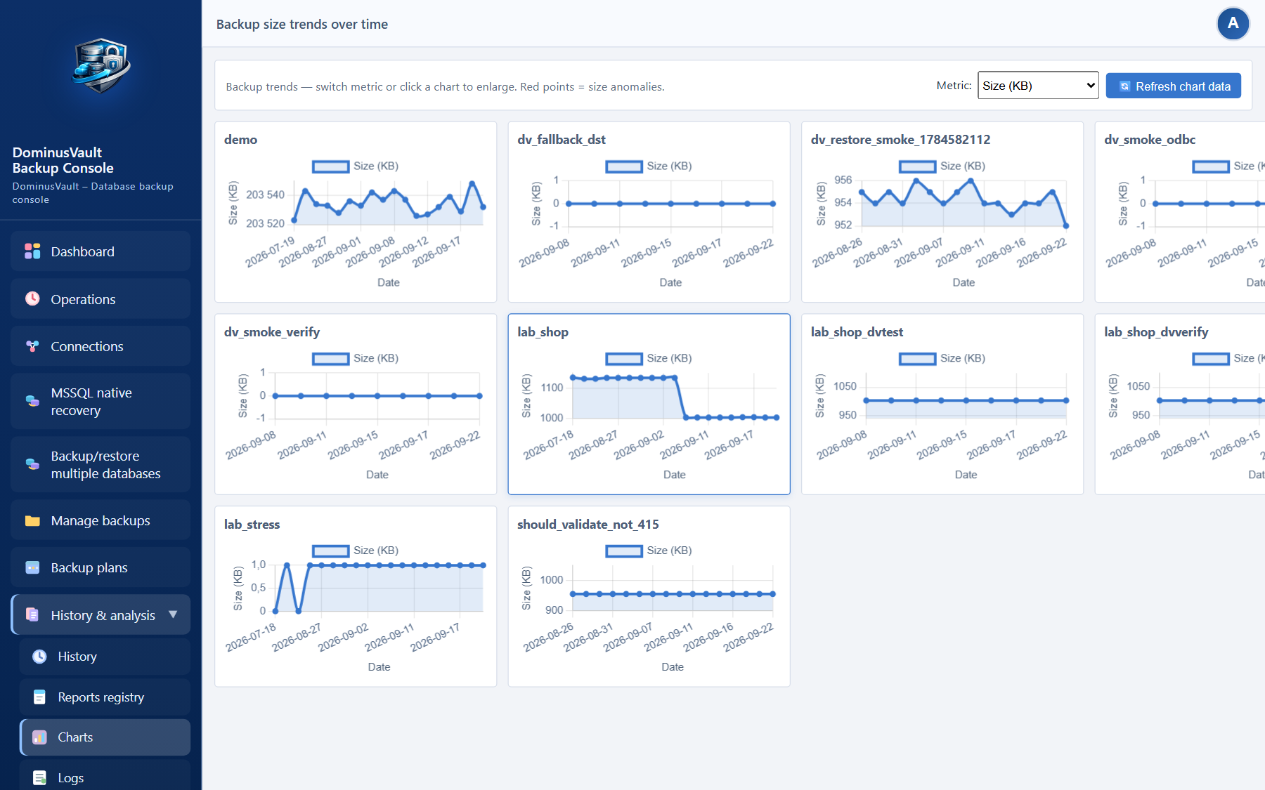 Backup size charts